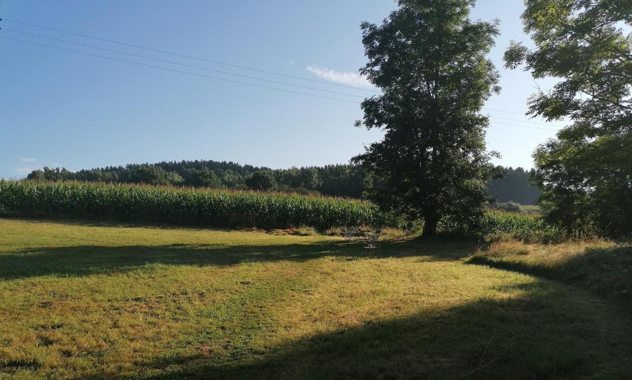 Marktleugast Ferienwohnungen Marienweiher מראה חיצוני תמונה